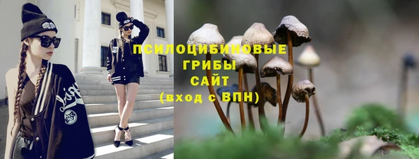 героин Алексин