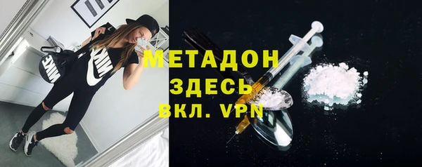стаф Алзамай