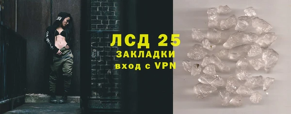 стаф Алзамай