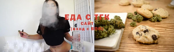 стаф Алзамай