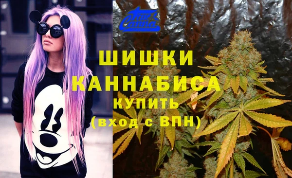 стаф Алзамай