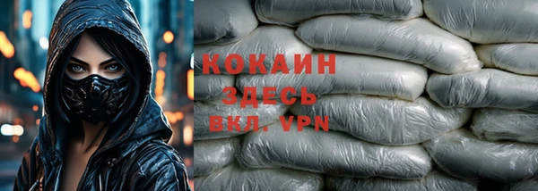 стаф Алзамай
