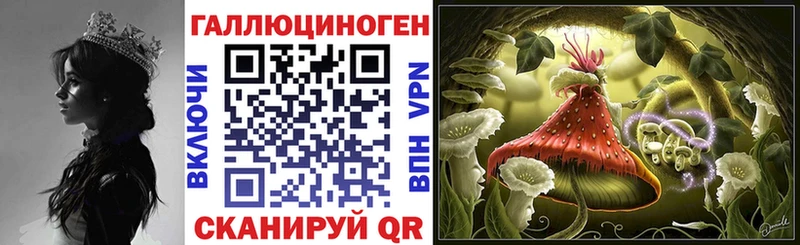 Галлюциногенные грибы Psilocybine cubensis  Оленегорск 